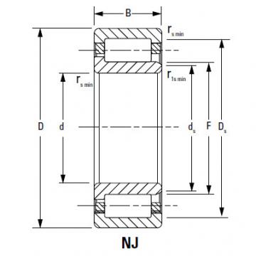 Bearing NU1060MA