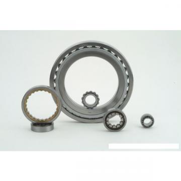 Bearing NN30/500K