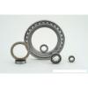 Bearing NN3040K